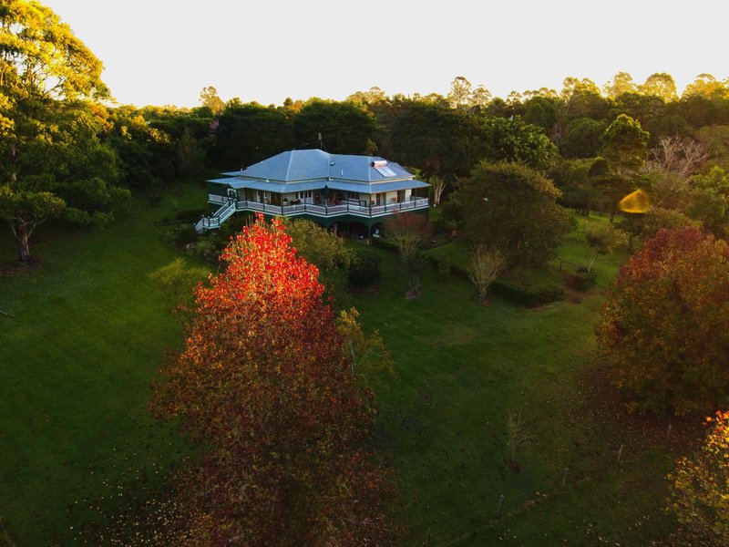 Photo - 15 Strong Court, Montville QLD 4560 - Image 4