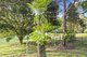 Photo - 15 Strong Court, Montville QLD 4560 - Image 23