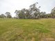 Photo - 15 Studmaster View, Bullsbrook WA 6084 - Image 11