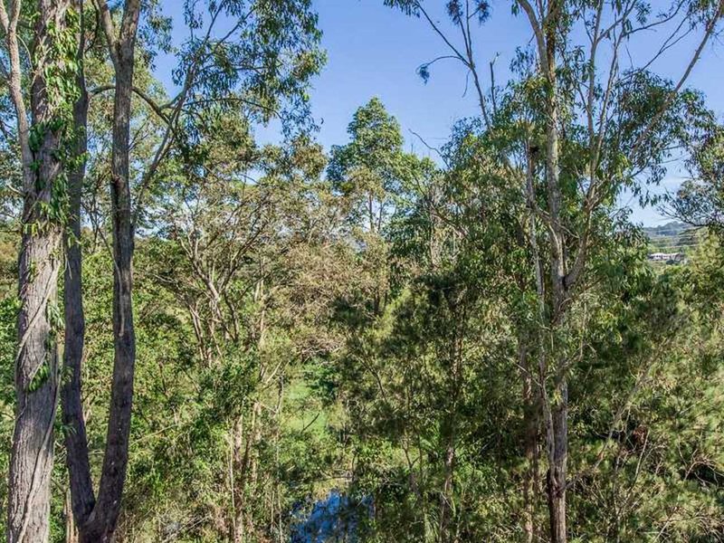 Photo - 15 Swagman Court, Mudgeeraba QLD 4213 - Image 8