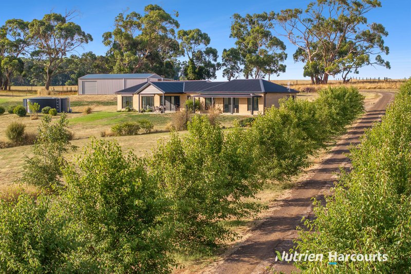 Photo - 15 Tognis Access Road, Timboon VIC 3268 - Image 1