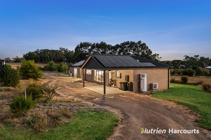 Photo - 15 Tognis Access Road, Timboon VIC 3268 - Image 6