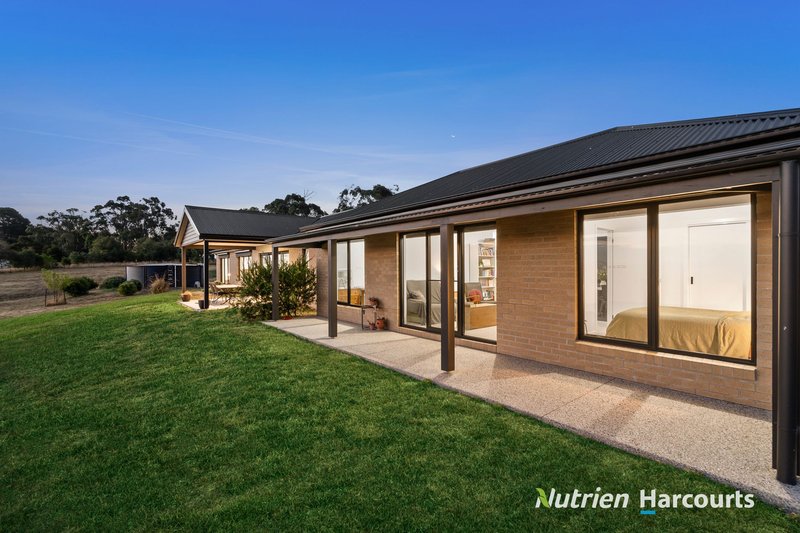 Photo - 15 Tognis Access Road, Timboon VIC 3268 - Image 7