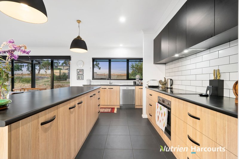 Photo - 15 Tognis Access Road, Timboon VIC 3268 - Image 10