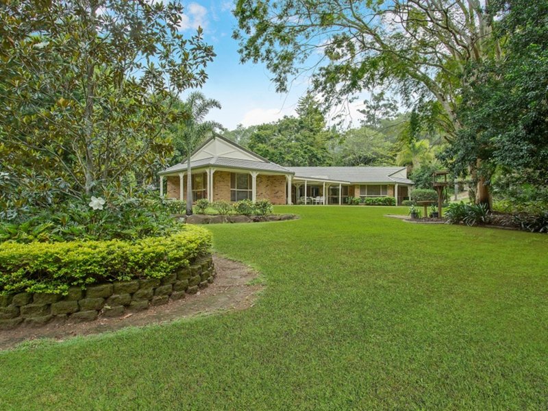 Photo - 15 Valhalla Ct , Tallai QLD 4213 - Image 11