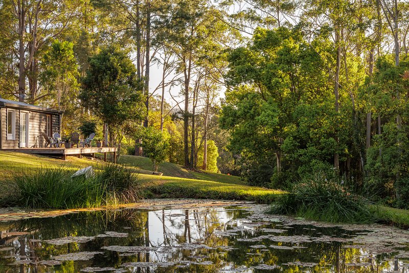 Photo - 150-158 Eumundi Range Road, Eumundi QLD 4562 - Image 13