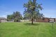 Photo - 150 Flinders Street, Tamworth NSW 2340 - Image 9