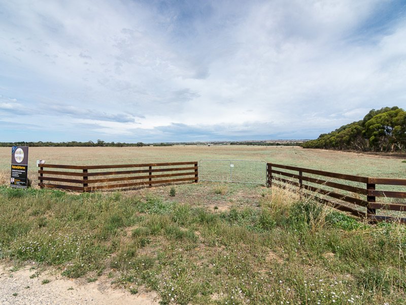 Photo - 150 Nine Mile Road, Strathalbyn SA 5255 - Image 5