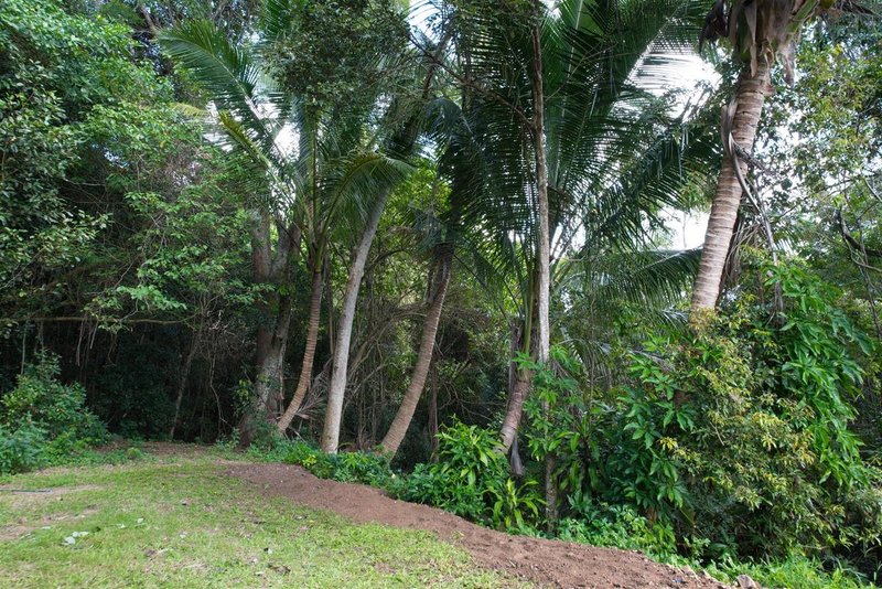 Photo - 150 Orchid Road, Cannon Valley QLD 4800 - Image 19