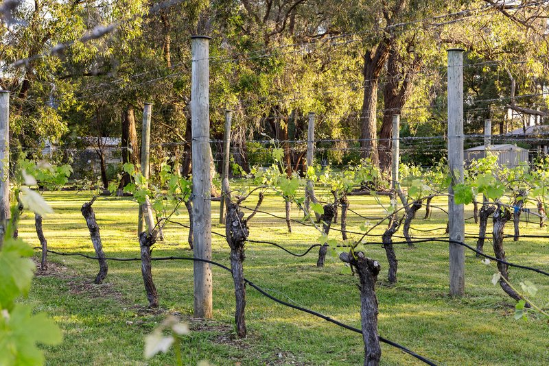 Photo - 150 South Beach Road, Bittern VIC 3918 - Image 8