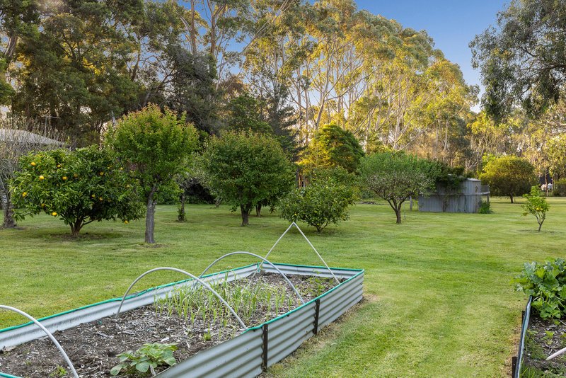 Photo - 150 South Beach Road, Bittern VIC 3918 - Image 11