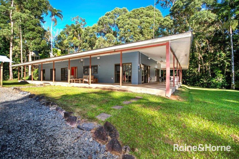 1509 Cape Tribulation Road, Cow Bay, Daintree QLD 4873