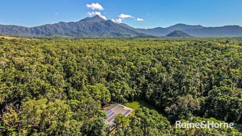 Photo - 1509 Cape Tribulation Road, Cow Bay, Daintree QLD 4873 - Image 6