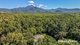 Photo - 1509 Cape Tribulation Road, Cow Bay, Daintree QLD 4873 - Image 6