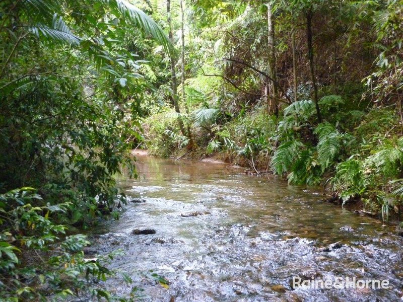 Photo - 1509 Cape Tribulation Road, Cow Bay, Daintree QLD 4873 - Image 7