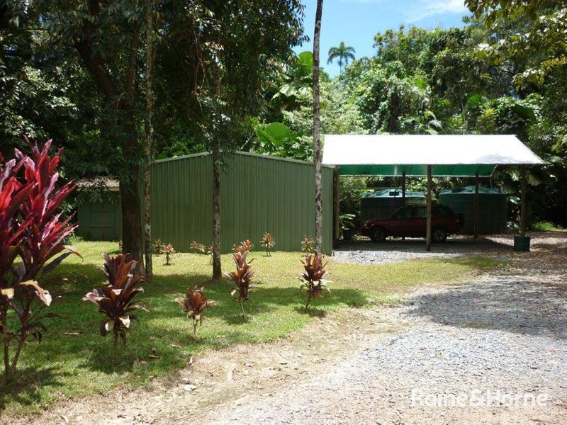 Photo - 1509 Cape Tribulation Road, Cow Bay, Daintree QLD 4873 - Image 9