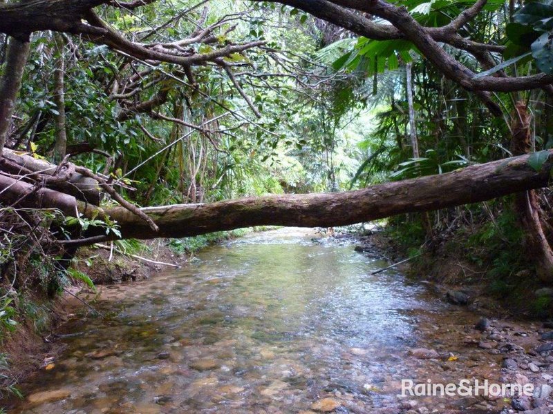 Photo - 1509 Cape Tribulation Road, Cow Bay, Daintree QLD 4873 - Image 11