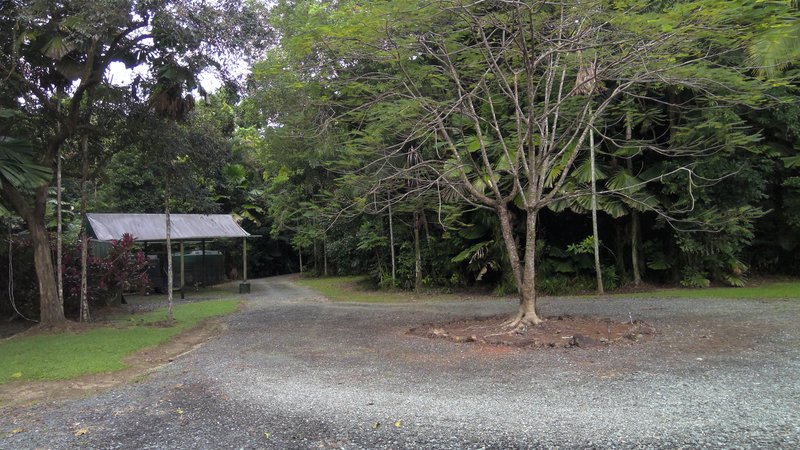 Photo - 1509 Cape Tribulation Road, Cow Bay, Daintree QLD 4873 - Image 17