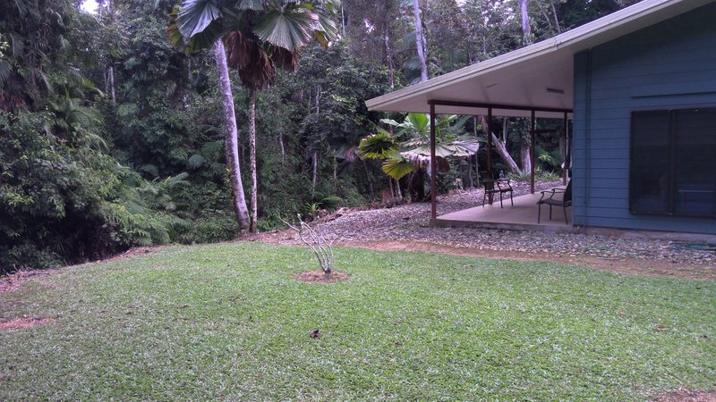 Photo - 1509 Cape Tribulation Road, Cow Bay, Daintree QLD 4873 - Image 26