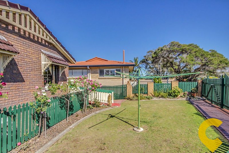 Photo - 151 Camelia Avenue, Everton Hills QLD 4053 - Image 5