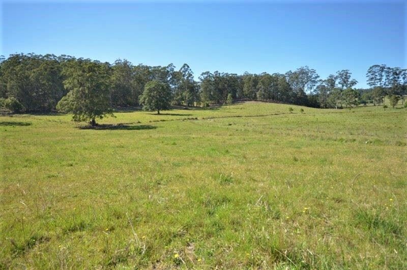 Photo - 151 Fords Road, Moorland NSW 2443 - Image 5