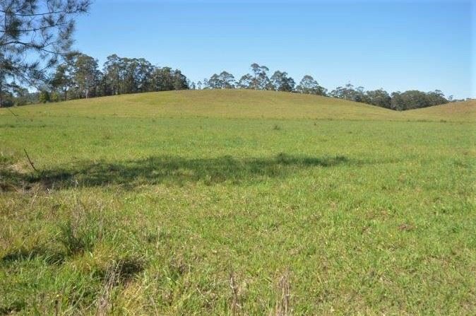 Photo - 151 Fords Road, Moorland NSW 2443 - Image 6