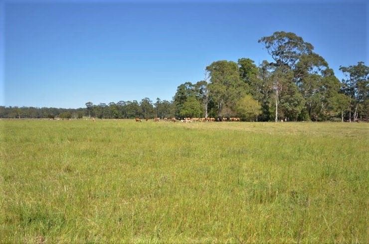 Photo - 151 Fords Road, Moorland NSW 2443 - Image 7