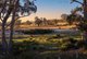 Photo - 151 Morris Road, Woodlands NSW 2575 - Image 10