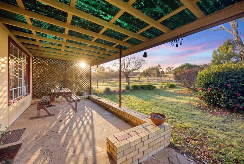 Photo - 151 Morris Road, Woodlands NSW 2575 - Image 19