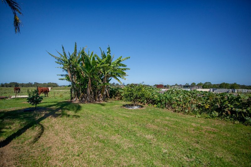 Photo - 151 Polsons Road, Oxley Island NSW 2430 - Image 16