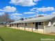 Photo - 151 Willawong Street, Young NSW 2594 - Image 5