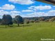 Photo - 151 Willawong Street, Young NSW 2594 - Image 10