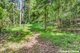 Photo - 1511 Cawongla Road, Larnook NSW 2480 - Image 23
