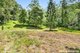 Photo - 1511 Cawongla Road, Larnook NSW 2480 - Image 26