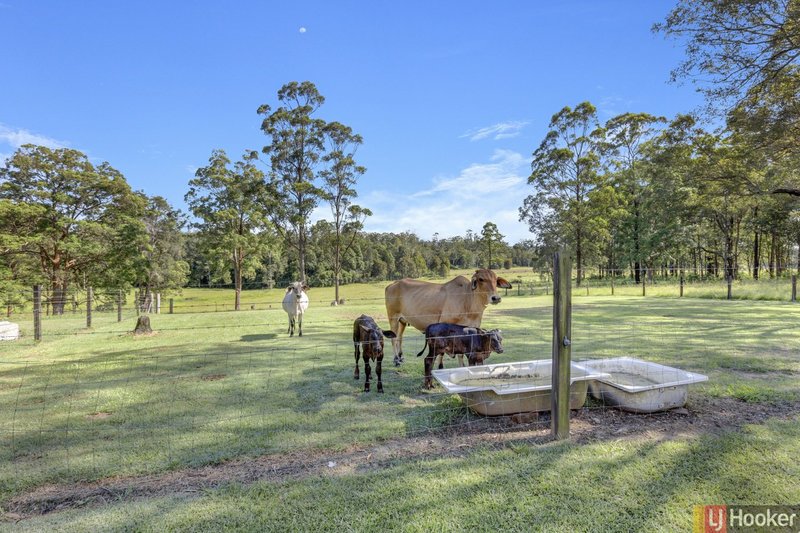 Photo - 1512 Collombatti Road, Collombatti NSW 2440 - Image 8