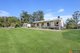 Photo - 1512 Collombatti Road, Collombatti NSW 2440 - Image 9