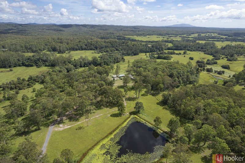 Photo - 1512 Collombatti Road, Collombatti NSW 2440 - Image 11