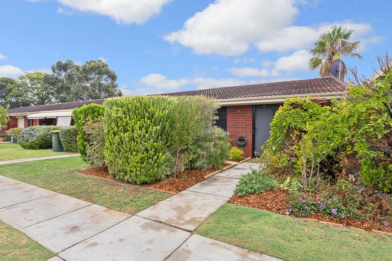 Photo - 15/175 Hector Street, Osborne Park WA 6017 - Image 2