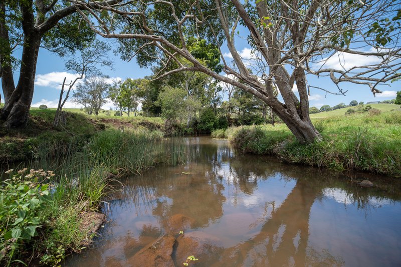 Photo - 152 Binna Burra Road, Beechmont QLD 4211 - Image 7