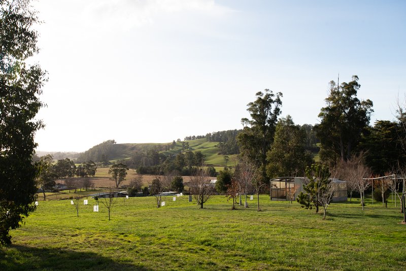 Photo - 152 Karoola Road, Karoola TAS 7267 - Image 17