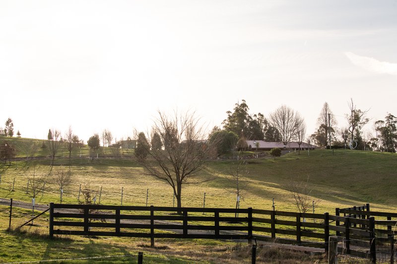 Photo - 152 Karoola Road, Karoola TAS 7267 - Image 19