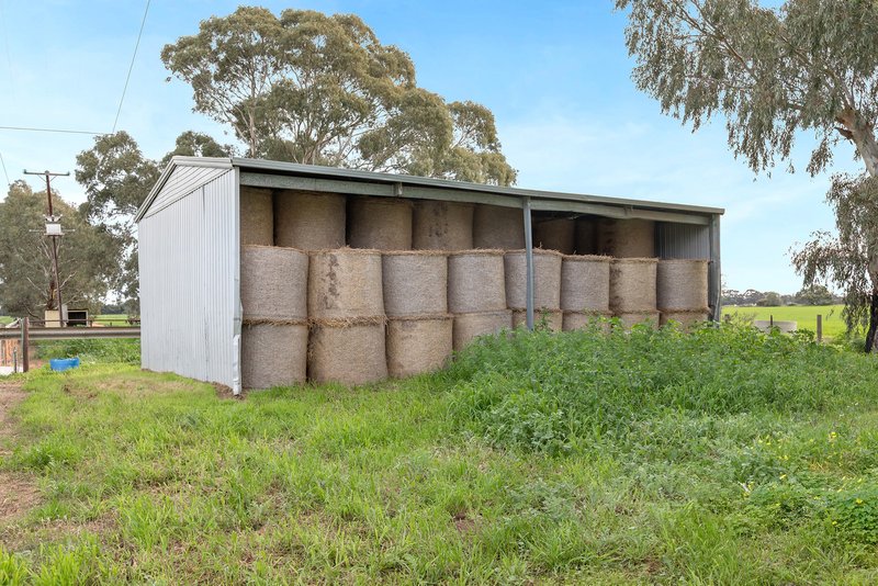 Photo - 1520 Boundary Road, Lewiston SA 5501 - Image 23