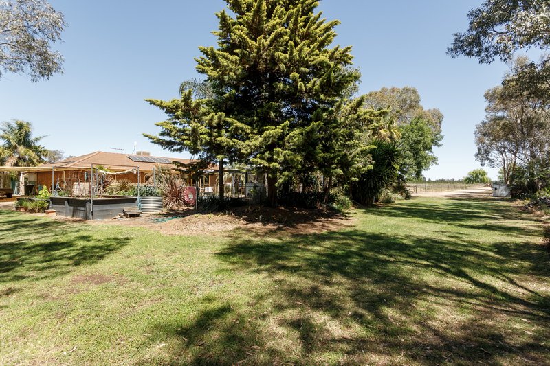 Photo - 1520 Murchison-Tatura Road, Tatura VIC 3616 - Image 27