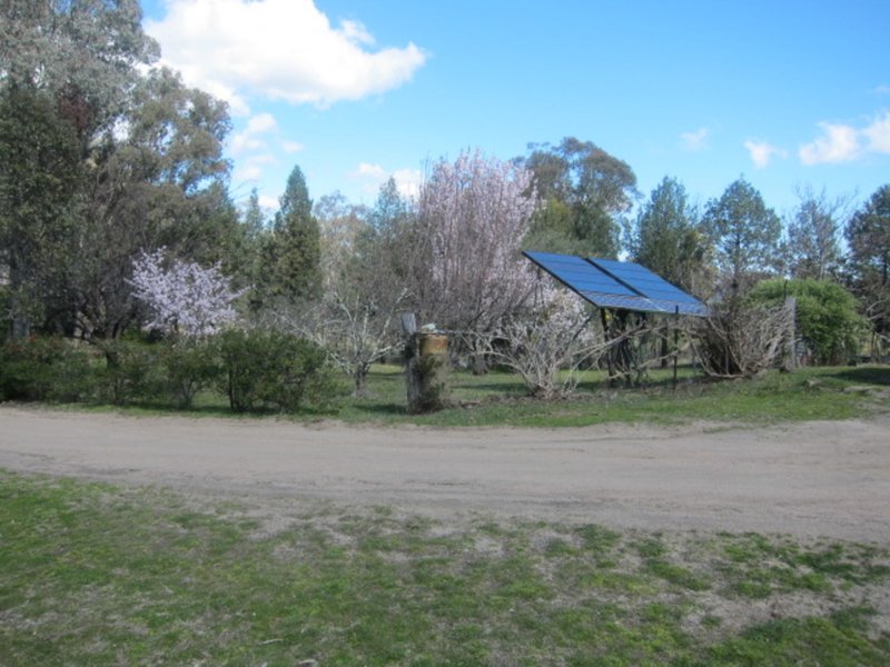 Photo - 1524 New England Gully Road, Moonbi NSW 2353 - Image 11