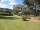 Photo - 1524 New England Gully Road, Moonbi NSW 2353 - Image 18