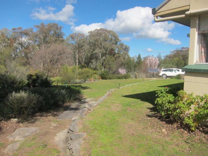 Photo - 1524 New England Gully Road, Moonbi NSW 2353 - Image 19