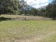 Photo - 1524 New England Gully Road, Moonbi NSW 2353 - Image 20