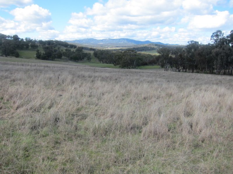 Photo - 1524 New England Gully Road, Moonbi NSW 2353 - Image 21