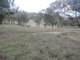 Photo - 1524 New England Gully Road, Moonbi NSW 2353 - Image 22