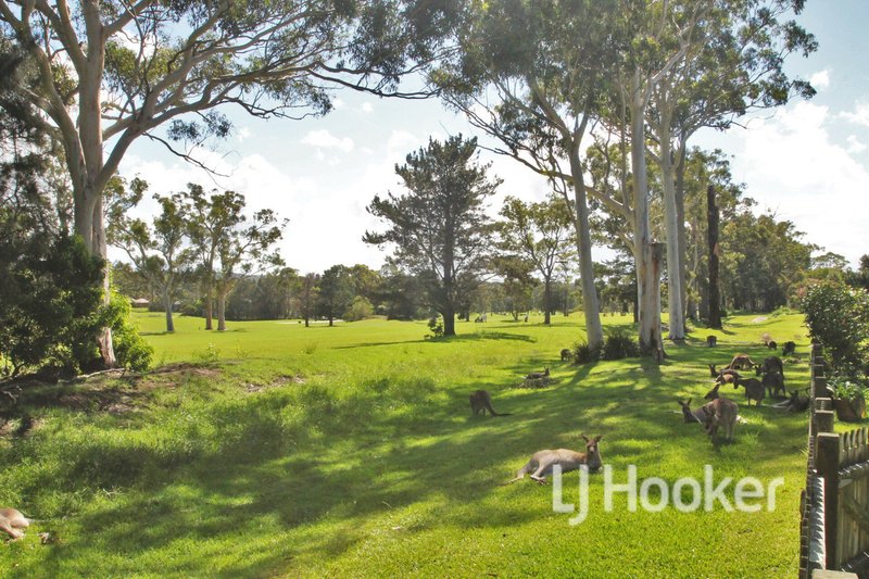 Photo - 1/53-57 Paradise Beach Road, Sanctuary Point NSW 2540 - Image 16